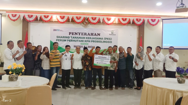 perhutani-probolinggo-serahkan-hasil-sharing-tanaman-sengon-dan-balsa-pada-lmdh