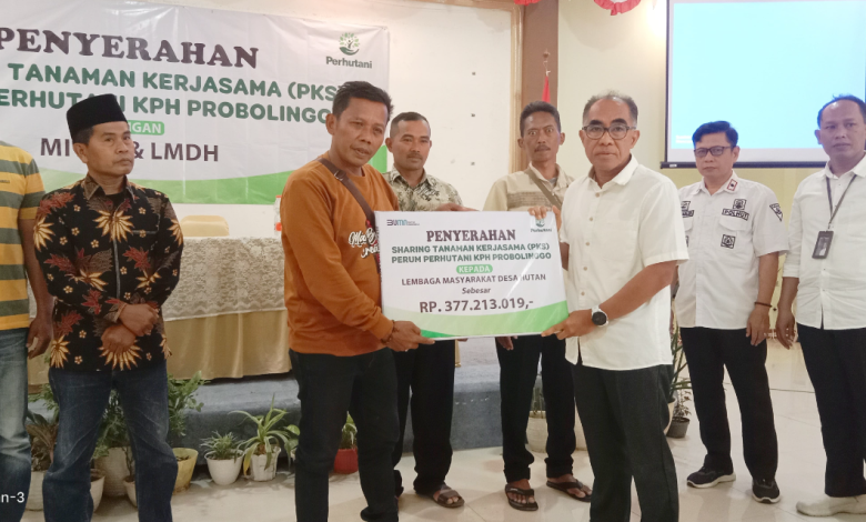 perhutani-probolinggo-serahkan-hasil-sharing-tanaman-sengon-dan-balsa-pada-lmdh