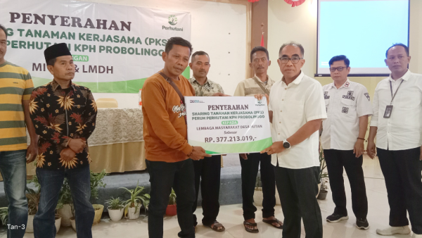 perhutani-probolinggo-serahkan-hasil-sharing-tanaman-sengon-dan-balsa-pada-lmdh