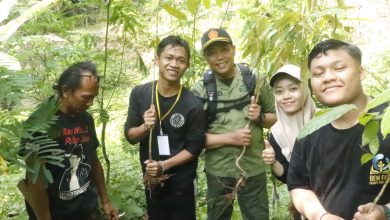 perhutani-banyuwangi-barat-lmdh-dan-mahasiswa-kompak-tanami-hutan