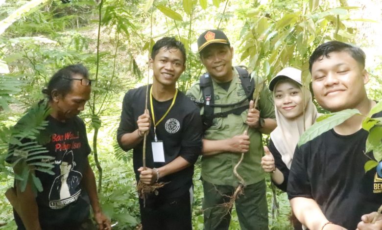 perhutani-banyuwangi-barat-lmdh-dan-mahasiswa-kompak-tanami-hutan