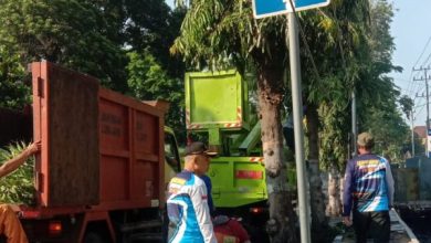 peringati-world-clean-up-day-perhutani-prolinggo-turut-serta-dalam-bersihkan-area-perkotaan