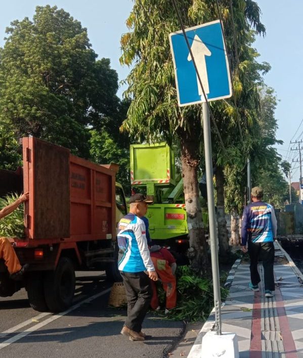 peringati-world-clean-up-day-perhutani-prolinggo-turut-serta-dalam-bersihkan-area-perkotaan