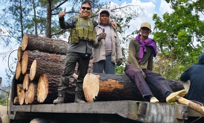 perhutani-bondowoso-lakukan-pemeriksaan-langsung-ke-lokasi-tebang-habis-jenis-pinus