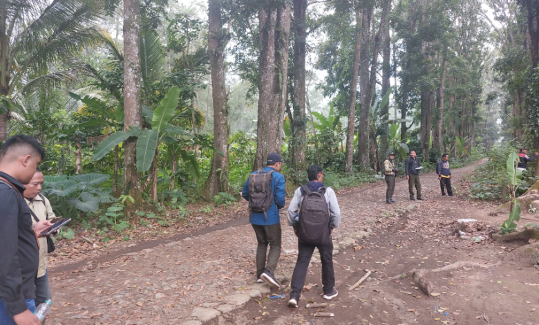 perhutani-banyuwangi-barat-gandeng-cdk-banyuwangi-inventarisir-kayu-rawan-roboh