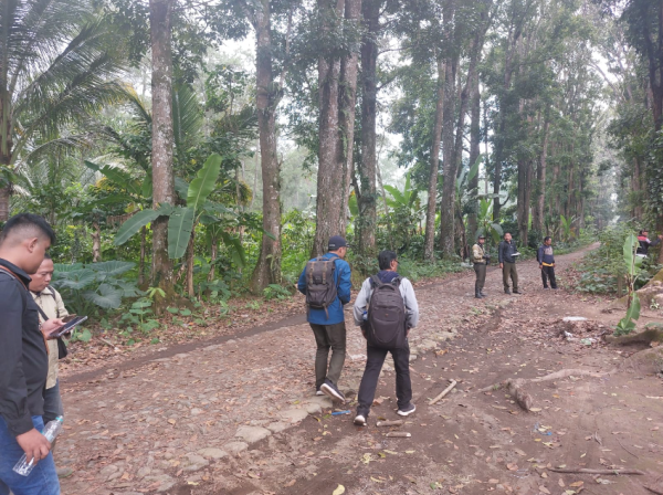 perhutani-banyuwangi-barat-gandeng-cdk-banyuwangi-inventarisir-kayu-rawan-roboh