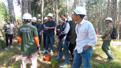 perhutani-lawu-ds-terima-kunker-asdep-bidang-industri-perkebunan-dan-kehutanan-beserta-jajarannya