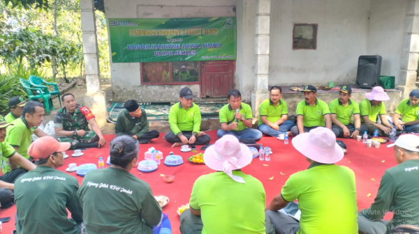 kepala-perhutani-divre-jatim-lakukan-pembinaan-sadapan-getah-pinus