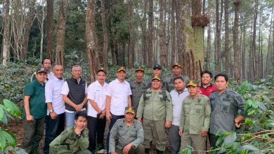 wakadivre-perhutani-jatim-kunjungan-kerja-ke-kph-bondowoso