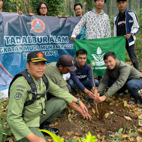 perhutani-banyuwangi-dan-pemuda-muhammadiyah-tanam-pohon-jenis-mahoni