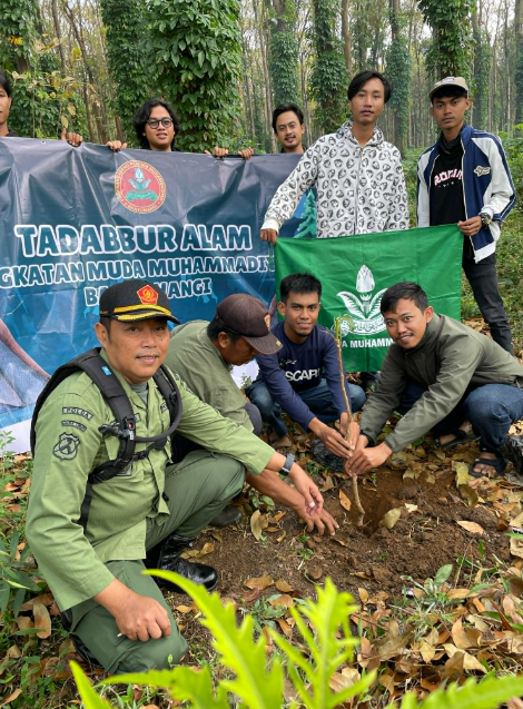 perhutani-banyuwangi-dan-pemuda-muhammadiyah-tanam-pohon-jenis-mahoni