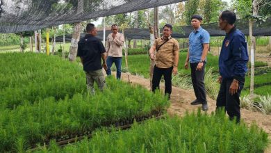 perhutani-bondowoso-bersyukur-jadi-rimbawan