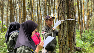 perhutani-banyuwangi-barat-ajari-pembuatan-pcp-kepada-smkkn-kehutanan-samarinda