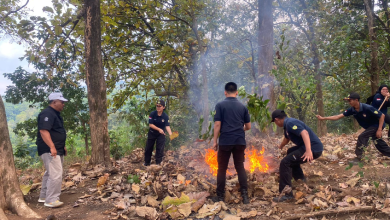 perhutani-kph-probolinggo-beri-pelatihan-teknik-dan-simulasi-pemadaman-api-kepada-siswa-smkkn-samarinda