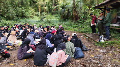 perhutani-banyuwangi-barat-dampingi-kegiatan-praktek-mahasiswa-ugm