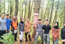 kph-probolinggo-bimbing-siswa-smkkn-samarinda-praktik-pembuatan-petak-coba-penjarangan-pemeliharaan-tegakan-pinus-di-sukapura