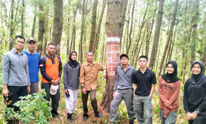 kph-probolinggo-bimbing-siswa-smkkn-samarinda-praktik-pembuatan-petak-coba-penjarangan-pemeliharaan-tegakan-pinus-di-sukapura