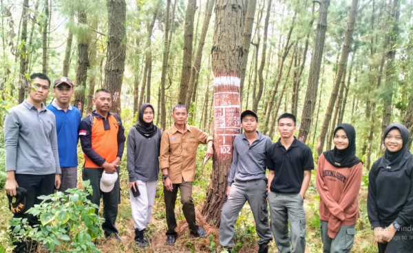 kph-probolinggo-bimbing-siswa-smkkn-samarinda-praktik-pembuatan-petak-coba-penjarangan-pemeliharaan-tegakan-pinus-di-sukapura