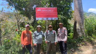 perhutani-kph-probolinggo-sub-lumajang-lakukan-tindakan-preventif-di-habitat-burung-langka