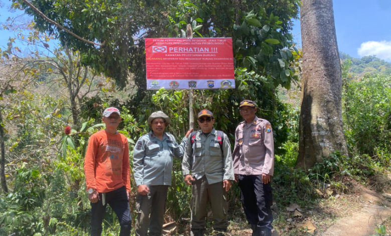 perhutani-kph-probolinggo-sub-lumajang-lakukan-tindakan-preventif-di-habitat-burung-langka