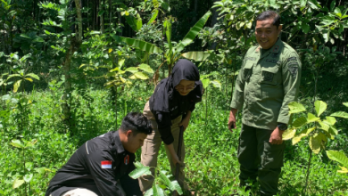 perhutani-dan-mahasiswa-untag-lakukan-penanaman-pohon-dalam-kawasan-hutan