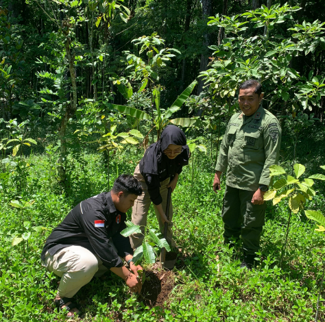 perhutani-dan-mahasiswa-untag-lakukan-penanaman-pohon-dalam-kawasan-hutan