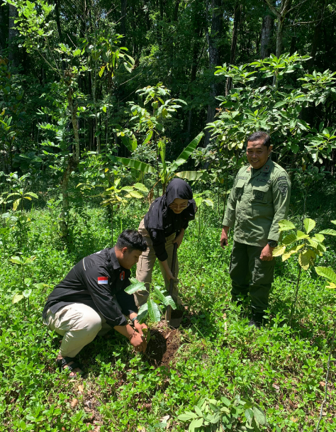 perhutani-dan-mahasiswa-untag-lakukan-penanaman-pohon-dalam-kawasan-hutan