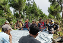 perhutani-probolinggo-ajak-masyarakat-pahami-prosedur-dan-regulasi-tentang-tata-usaha-hasil-hutan