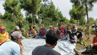 perhutani-probolinggo-ajak-masyarakat-pahami-prosedur-dan-regulasi-tentang-tata-usaha-hasil-hutan